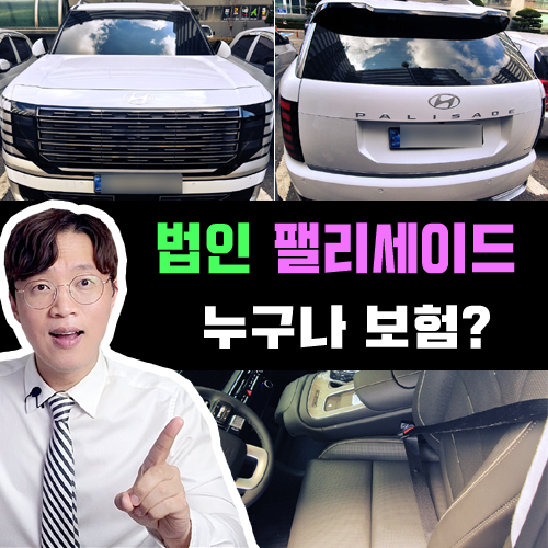  팰리세이드 9인승 장기렌트 카 / 법인 사업자 누구나 운전 보험 특판