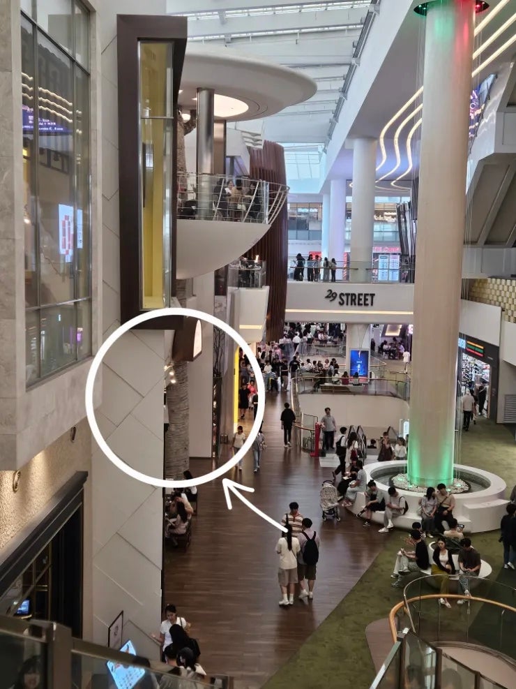  잠실역 카페 | 롯데월드몰내에 위치한 인텔리젠시아카페 추천 메뉴
