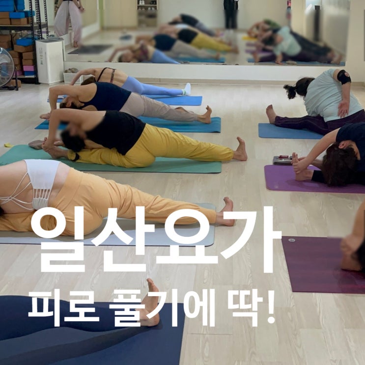  탄현 헬스장 레디바디 요가, 피로 풀기에 딱!