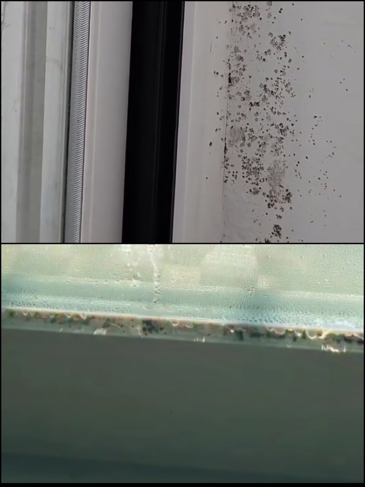  창원에어컨청소 장마철 대비 우리 집 관리방법 핵심만 콕콕
