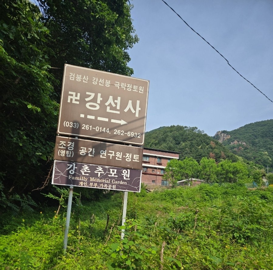 밤나무추억길 사진 3