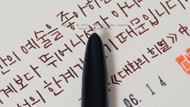  “인간의 예술을 좋아하는 이유” ️ 만년필로 하는 필사 캘리그라피 #파카51디럭스만년필