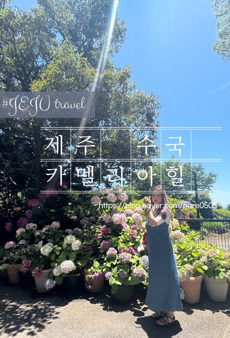  제주 서쪽 여행 여름 수국 카멜리아힐 애견동반 롯데렌터카 할인정보