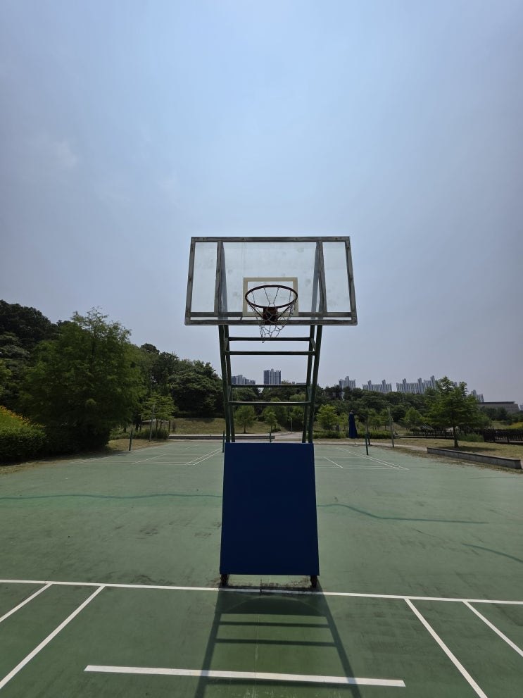  세종시 체육시설 재정비 사업 진행 중!도담동 저류지 농구장 농구골대 보호대 시공 사례