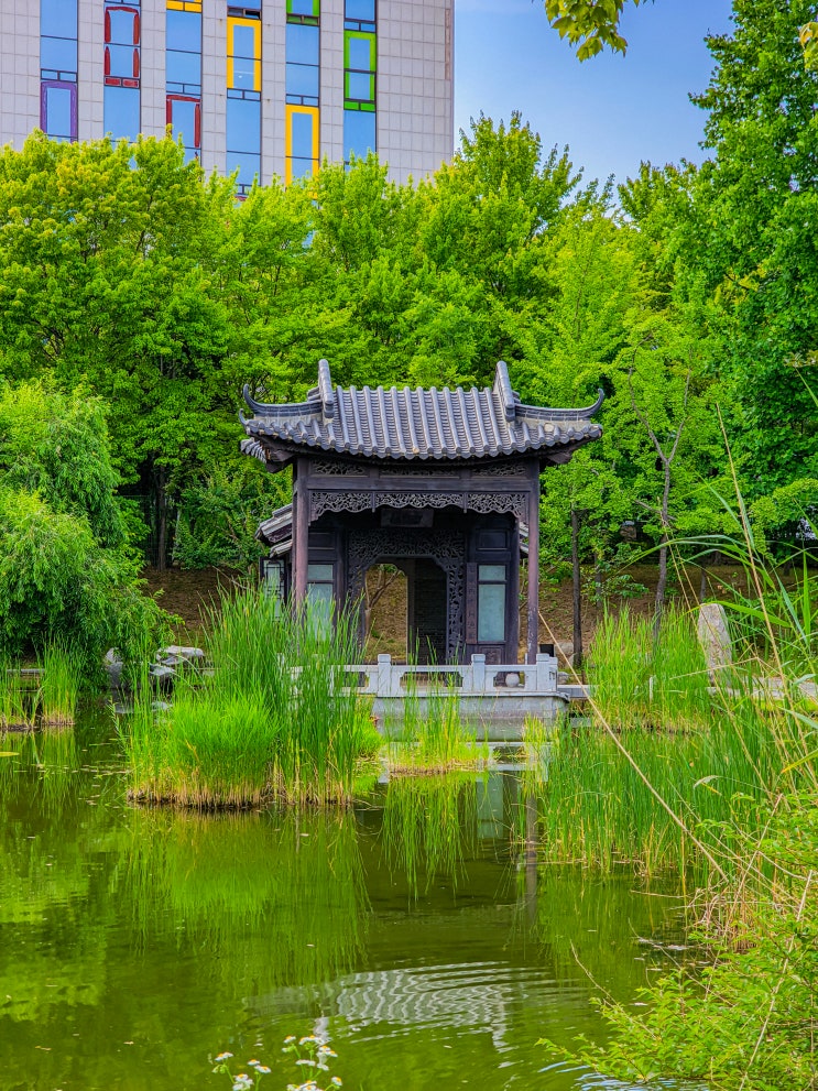  수원시청 주변 가볼만한곳, 효원공원월화원(주차장, 가는법)