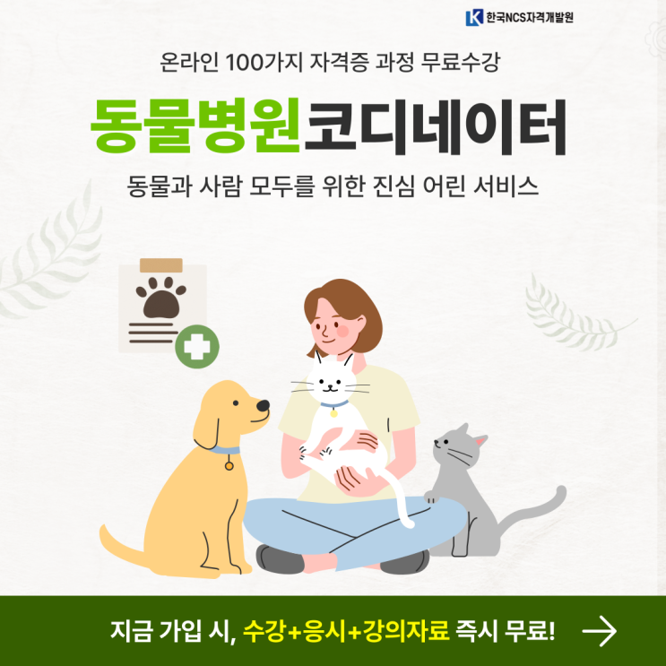 동물병원코디네이터 자격증 취득방법 총정리 반려동물과 함께하는 따뜻한 일