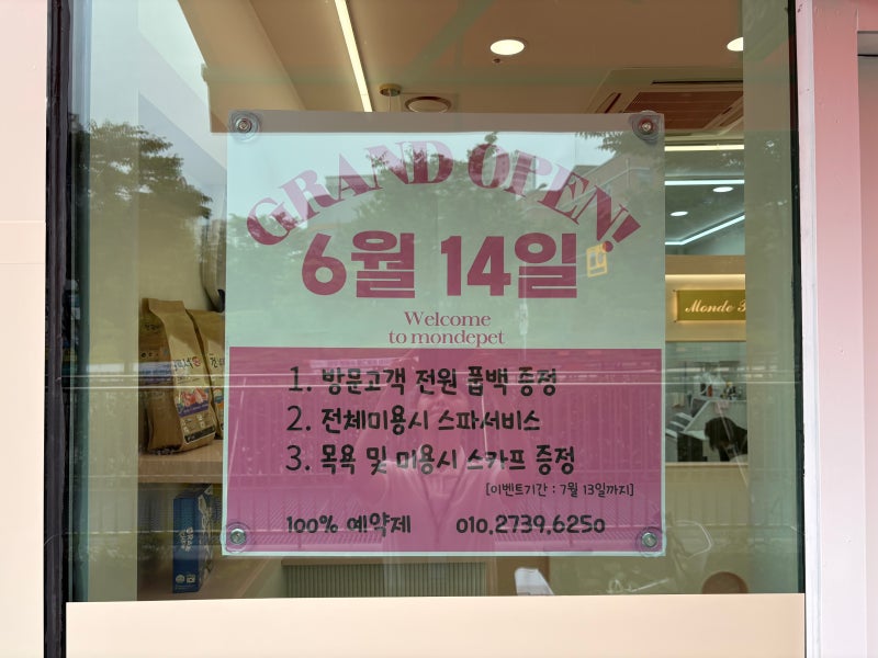 사진 3