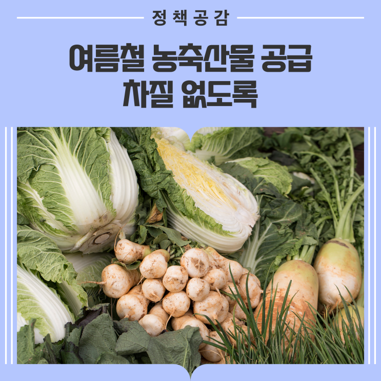 농축산물 공급 차질 없도록 <b>대비</b>··· 닭고기·계란 수급 안정 <b>총력</b>