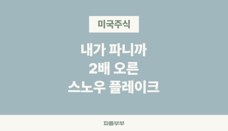  주식 SNOW 스노우 플레이크 주가 전망