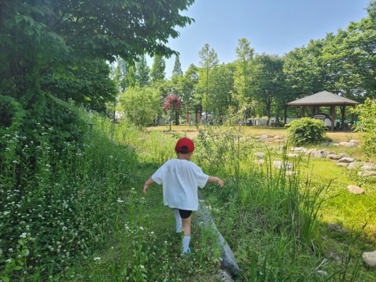 올해도 여름은 뜨겁다, 5살 아이와 함께한 김포 걸포중앙공원 나들이 올해도 여름은 뜨겁다, 5살 아이와 함께한 김포 걸포중앙공원 나들이
