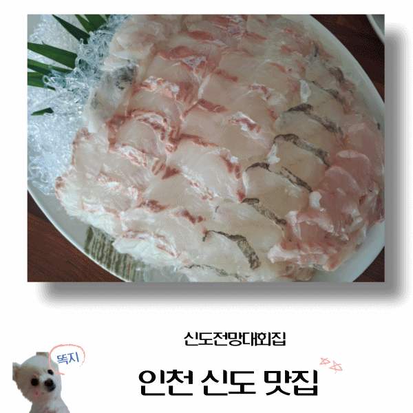  인천 신도 맛집, 바다뷰 보며 광어우럭회 한 접시! 신시모도 회 맛집