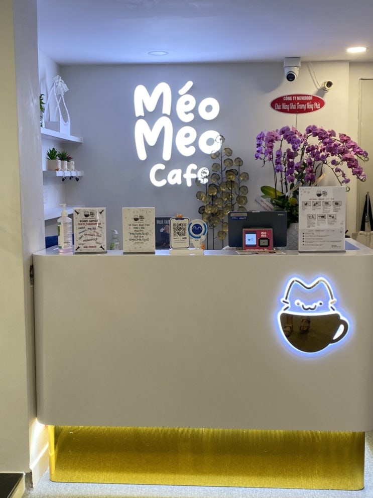  호치민 여행 추천지 고양이카페 Meo Meo cat cafe