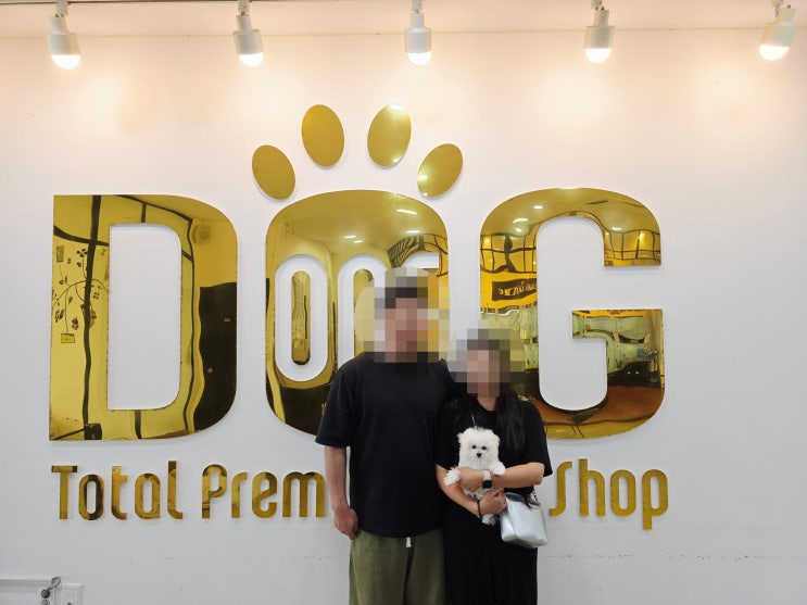  세종시 강아지분양 믿을만한 곳 찾는다면? 11년동안의 신뢰와 믿음으로 검증 된 원독 애견분양 센터 추천 미니비숑 왕자님 분양 후기