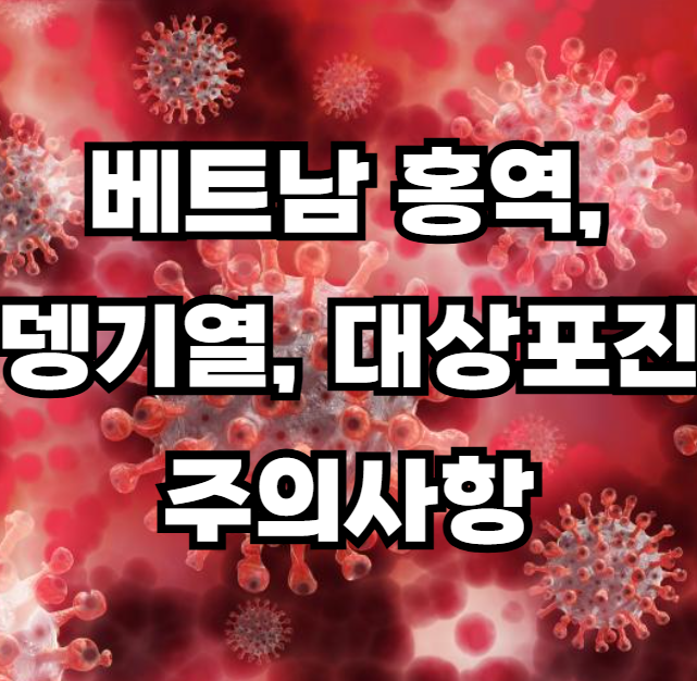 베트남 홍역 뎅기열 대상포진 주의사항 알아보기