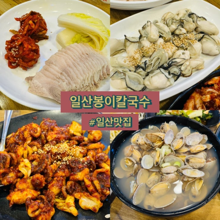 [일산봉이칼국수 쭈꾸미보쌈] 나만 몰랐던 일산맛집 | 보쌈을 시키면 칼국수가 무료