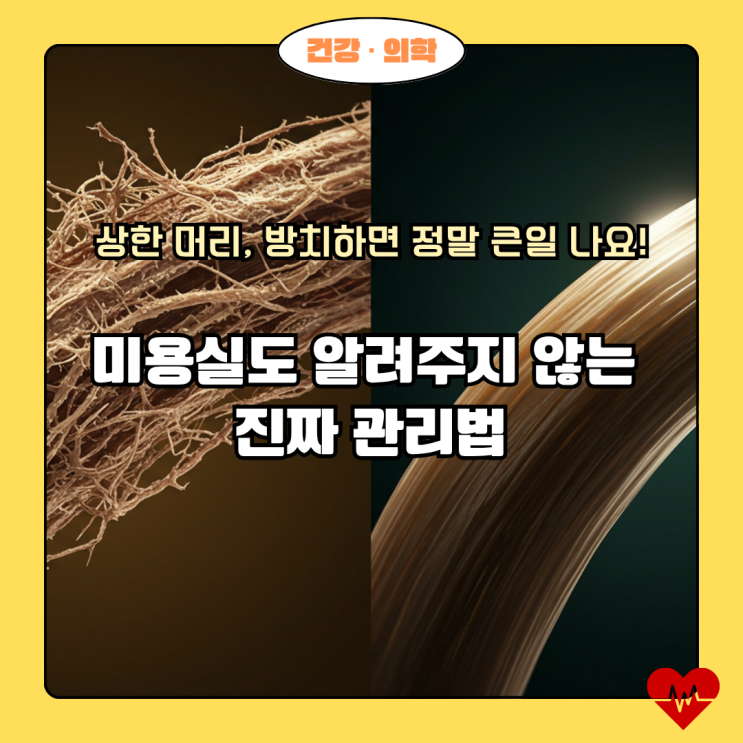  상한 머리카락, 방치하면 정말 뿌리까지 썩을까? (미용실에서 안 알려주는 진실)
