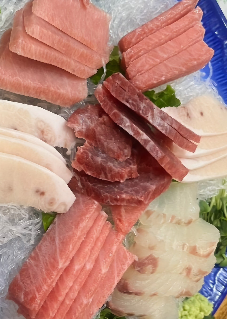 한라참치 사진 1