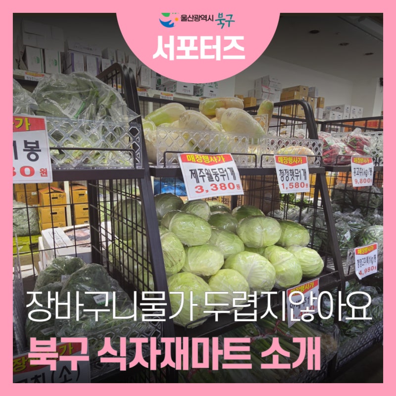 알뜰 장보기 가성비 맛집 진장동 농협 하나로 식자재 마트 ㅣ 몬스터 식자재 할인마트 영....