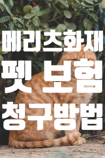청구안내5. 메리츠화재 펫보험 보험금 청구 방법