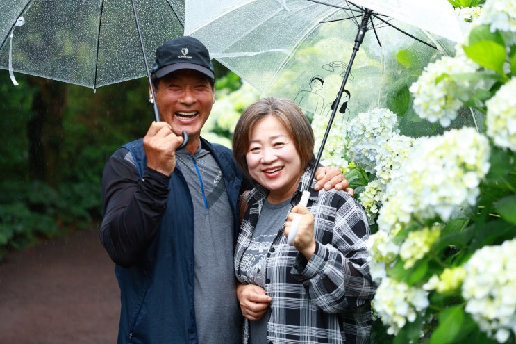  여름 제주도 단체여행 조건없는 단독 관광버스 렌트 대절 가이드투어