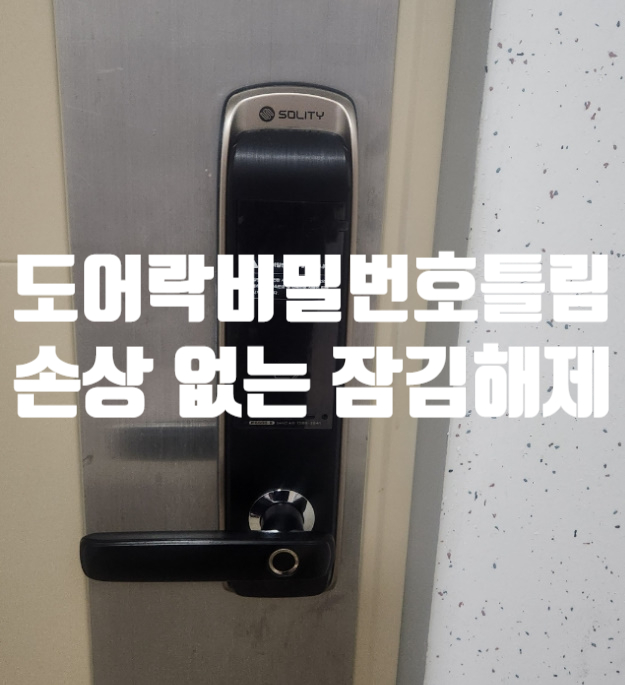  일산열쇠 도어락 비밀번호 틀림 안열림 잠금 해제 솔루션