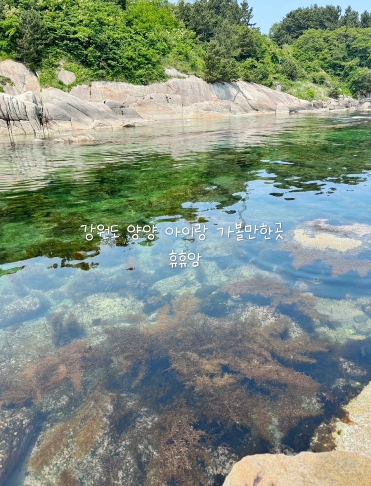 강원도 양양 아이랑 가볼 만한 곳 해양생물 관찰 물놀이까지 주차 편한 휴휴암 후기