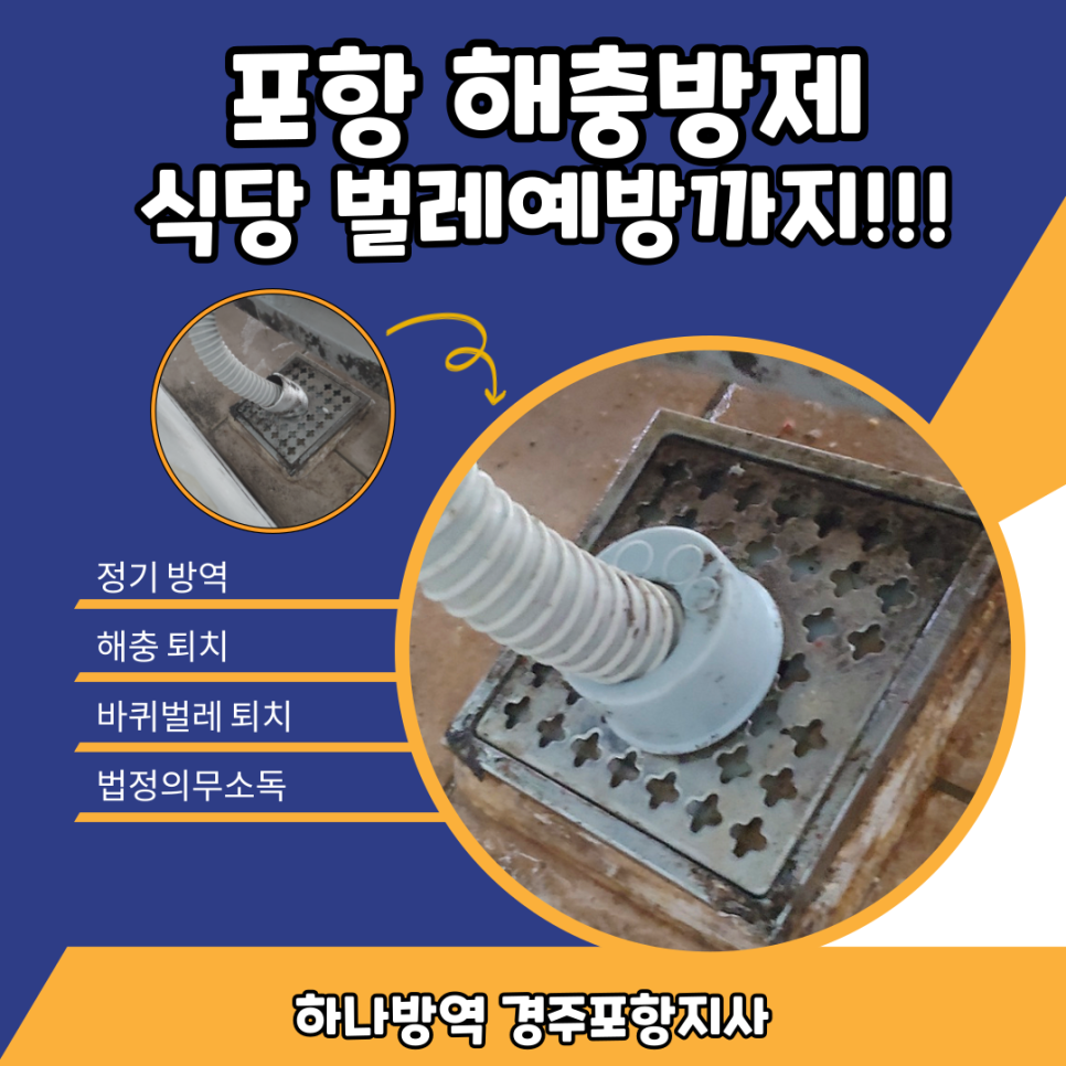 Jinsolbapsang photo 1