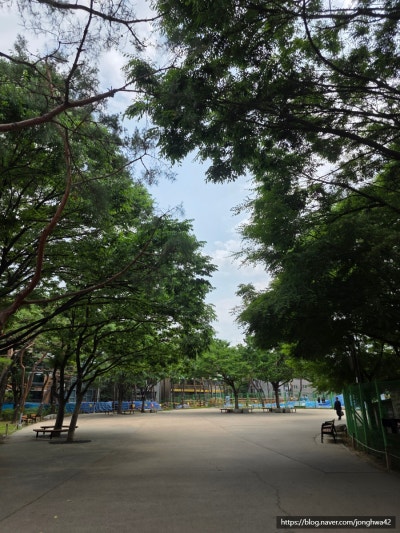 사진 5