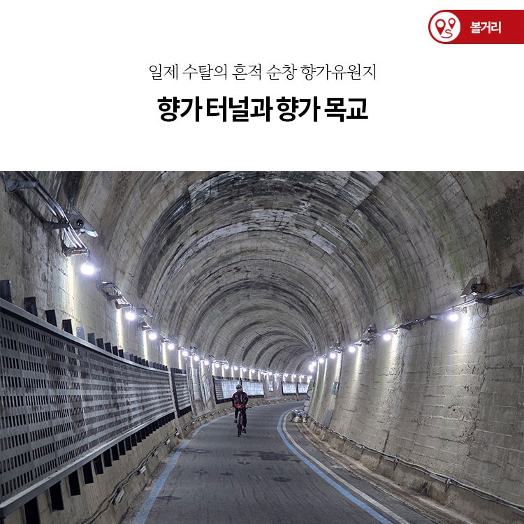 사진 2