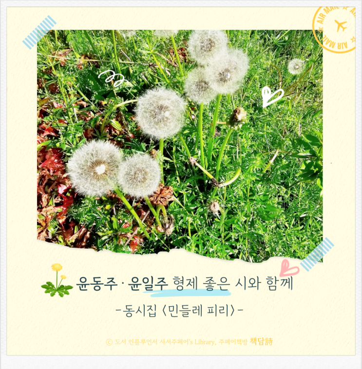 책담詩/ 윤동주 윤일주 형제 <민들레 피리>, 서정성 짙은 좋은 시 추천