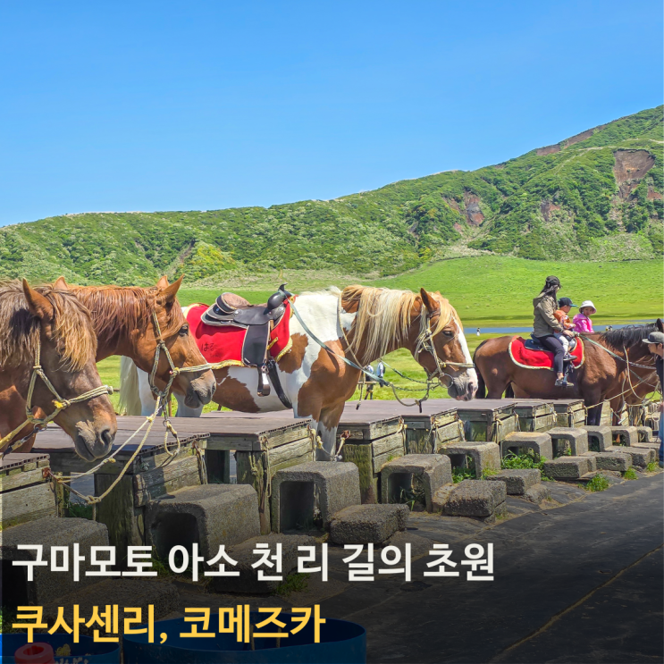 천 리 길의 초원 쿠사센리, 귀엽고 예쁜 화산 코메즈카