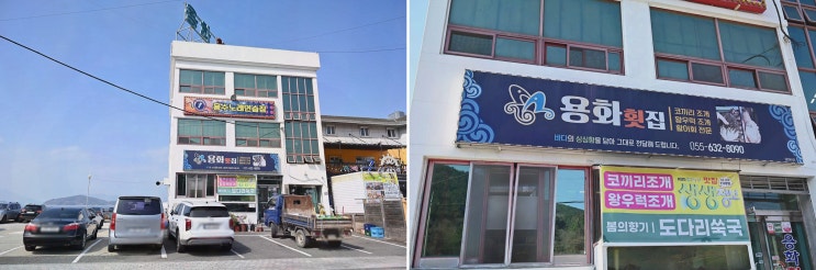  [맛집리뷰] 용화횟집, 신선한 거제왕우럭조개와 해물물회의 환상 조화
