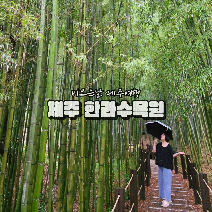  제주 한라수목원 비오는날 힐링 여행 대나무 숲길