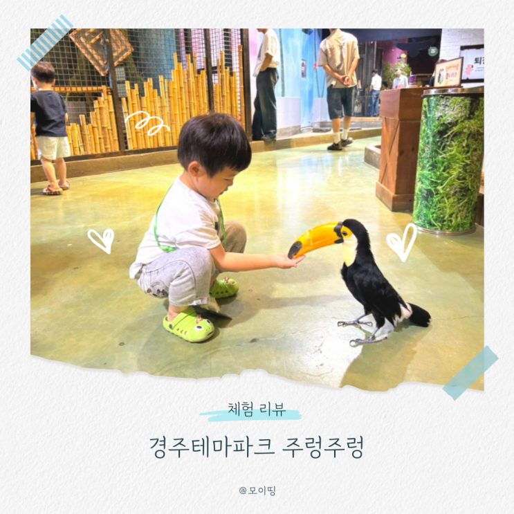 아이랑 실내 가볼만한 곳 경주테마파크 주렁주렁 먹이주기체험