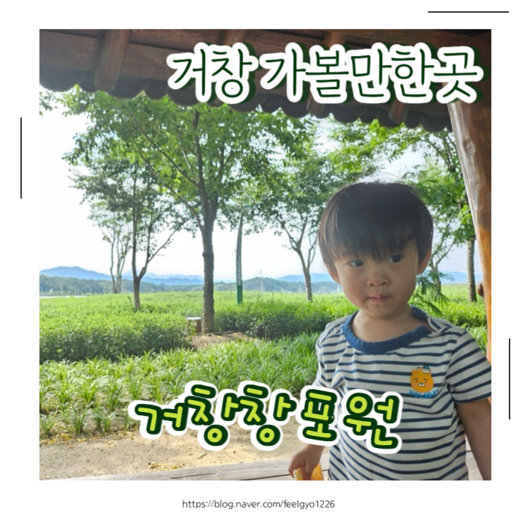  거창 가볼만한곳 열대식물원 전망대에서 힐링까지 거창 창포원