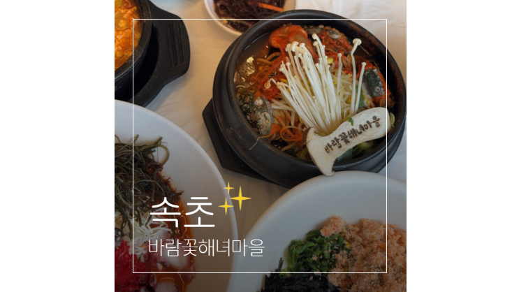  속초 애견동반 식당 아침식사 가능한 속초해녀마을 전복 물회 맛집