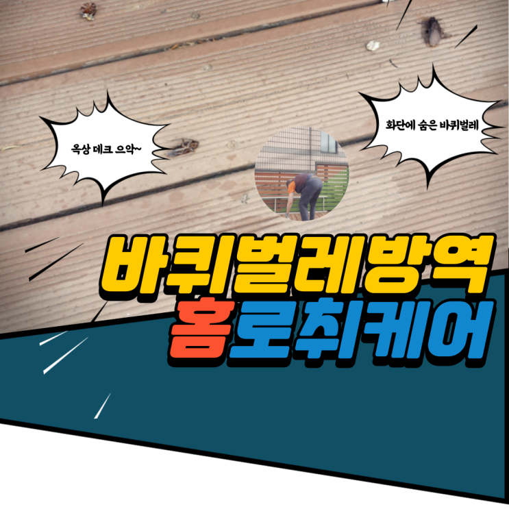 건물 정원 데크,정화조 바퀴벌레 방역 근원지를 업체 관리 필수!