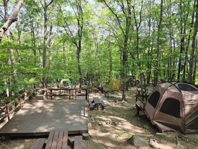 양산 가성비 캠핑 대운산 자연휴양림 야영장 1박 후기(58번 야영테크)