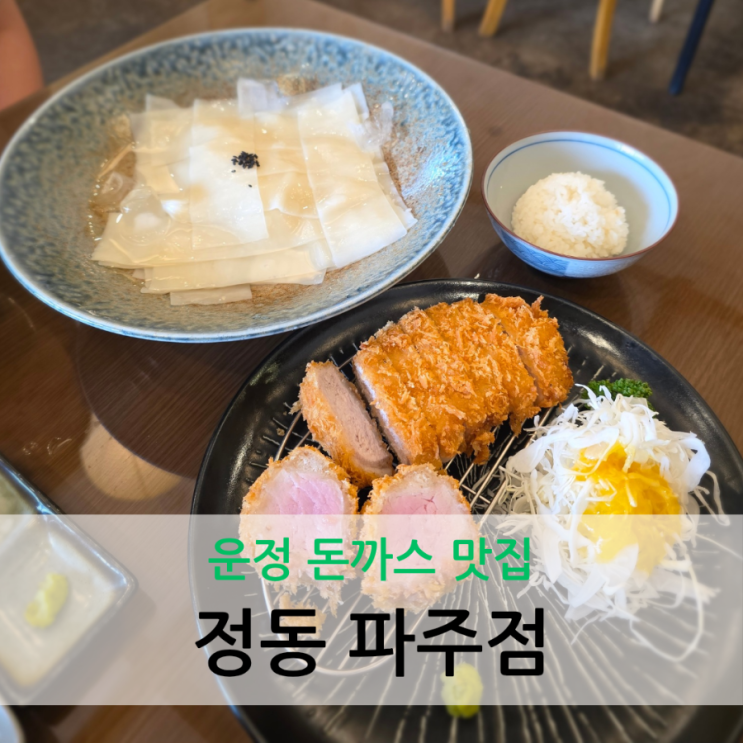  운정 돈까스 맛집 하나야마 냉우동 여름 별미 정동 파주점