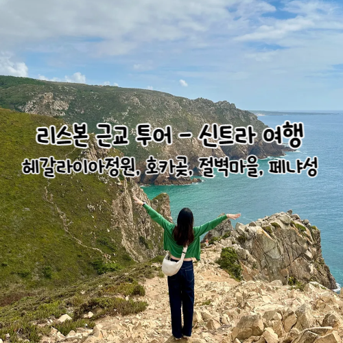  리스본 근교투어, 신트라 여행 중 만난 동화 같은 풍경!