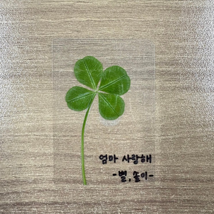  6/1~15 일상 모음 : 콰삭킹 / 목포 나들이 / 담양 나들이 / 메종드온유호텔