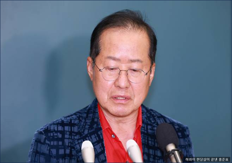 후보 탈락후 은퇴 선언후 하와이서 시어머니질 하던 <b>홍준표 귀국</b>