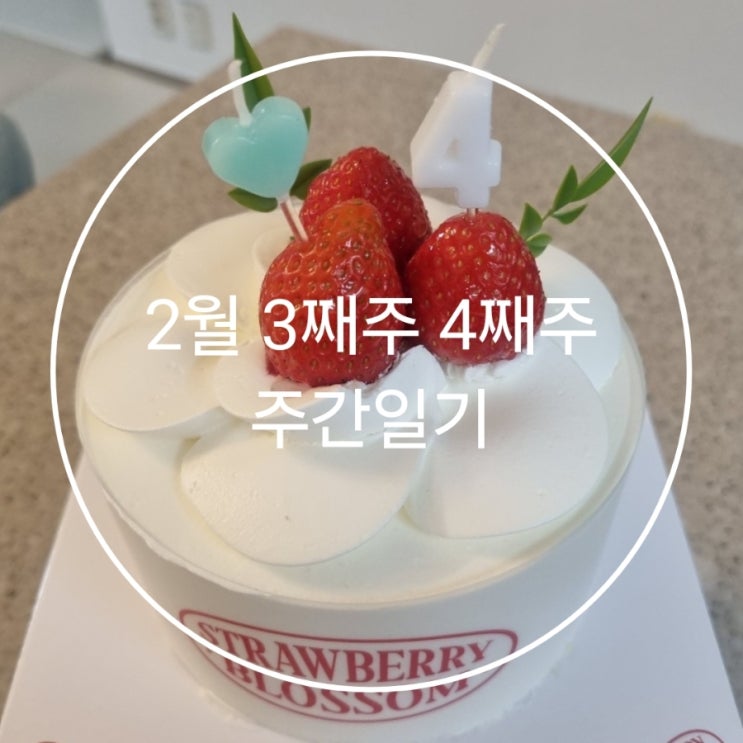  2월 3째주 4째주 주간일기 수료와 생일
