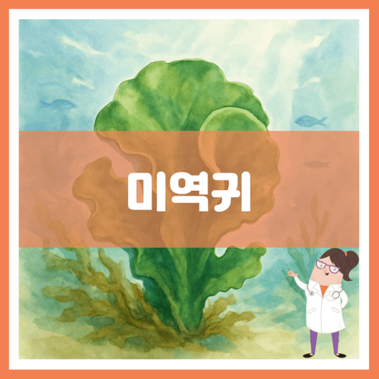  미역귀 효능 부작용 먹는 방법