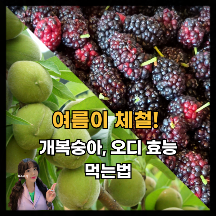  여름에 꼭 먹어야할 개복숭아 효능, 오디의 효능