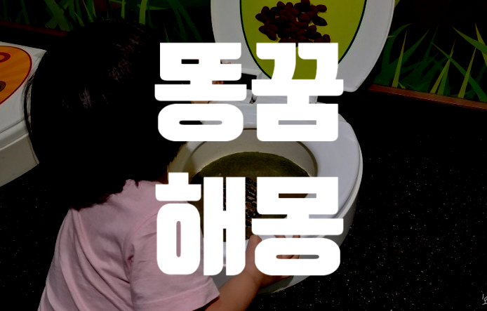 똥 꿈 해몽/ 똥싸는 꿈/똥 만지는 꿈/똥 본 꿈 해몽