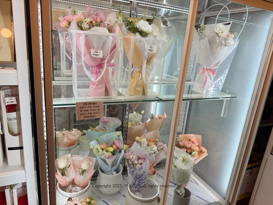 블루데이지 사진 6
