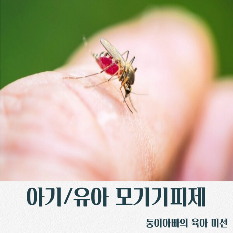 [육아정보/모기기피제]신생아아기모기기피제/모기약/모기패치사용시기/나이/사용방법/모기....