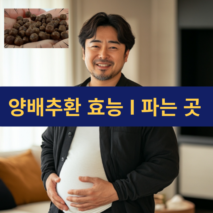  양배추환 효능 | 양배추환 복용법 | 양배추 환 100% 추천 | 속 편한 하루를 위한 선택