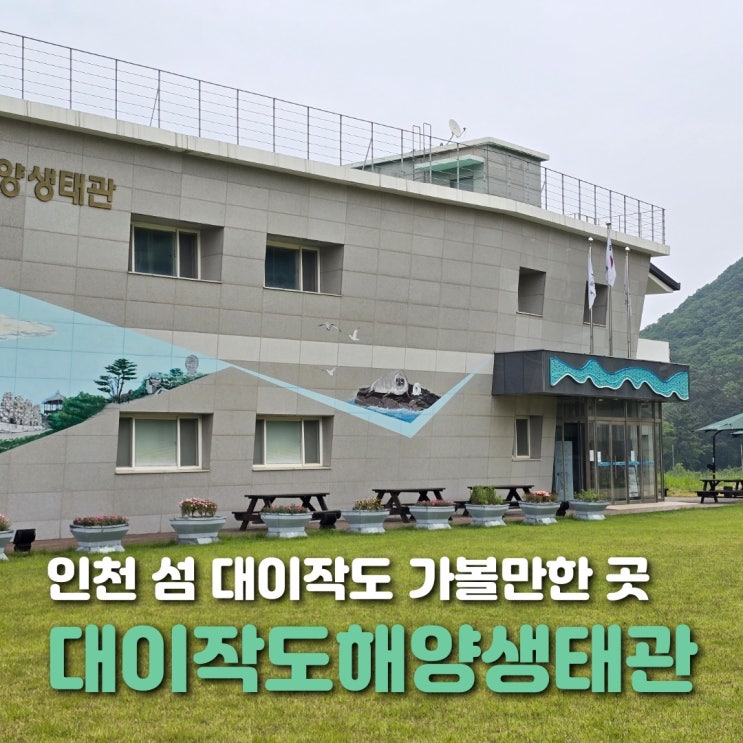  인천 섬 대이작도 여행 해양생태관 관람 후기